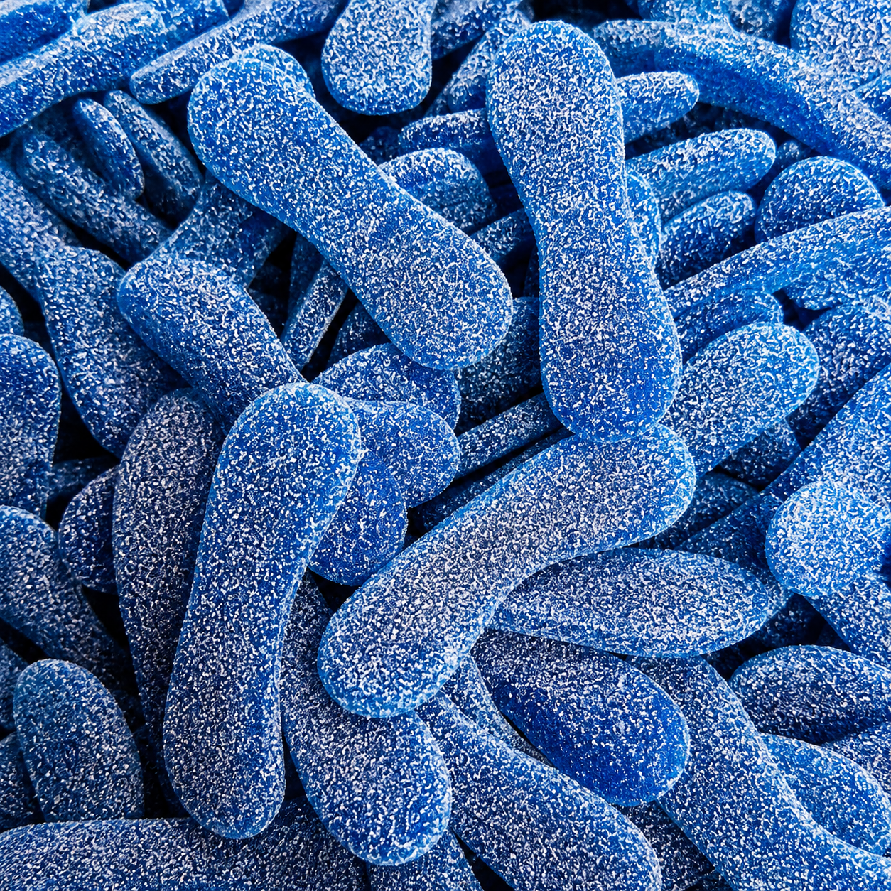 Langues bleues FRISIA