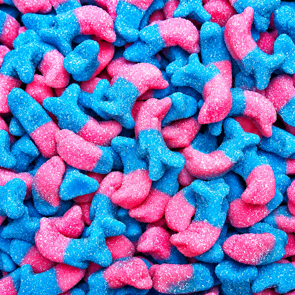 Dauphins bubble gum