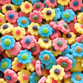 Fleurs sucrées DULCEPLUS
