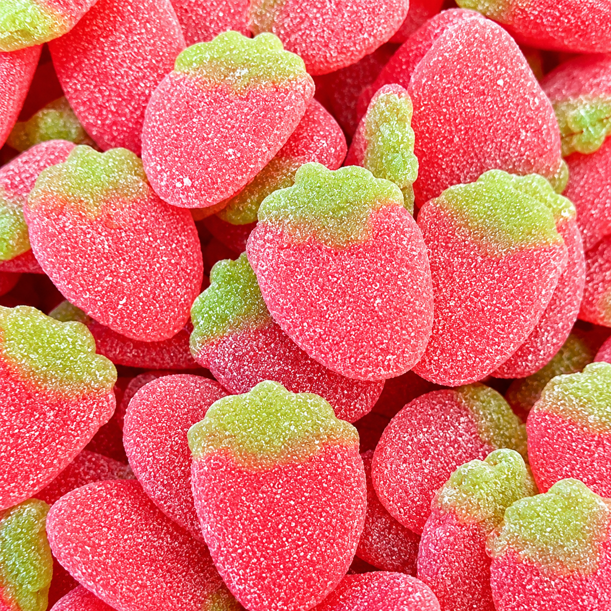 Fraises plates FRISIA
