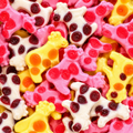 Vaches TROLLI