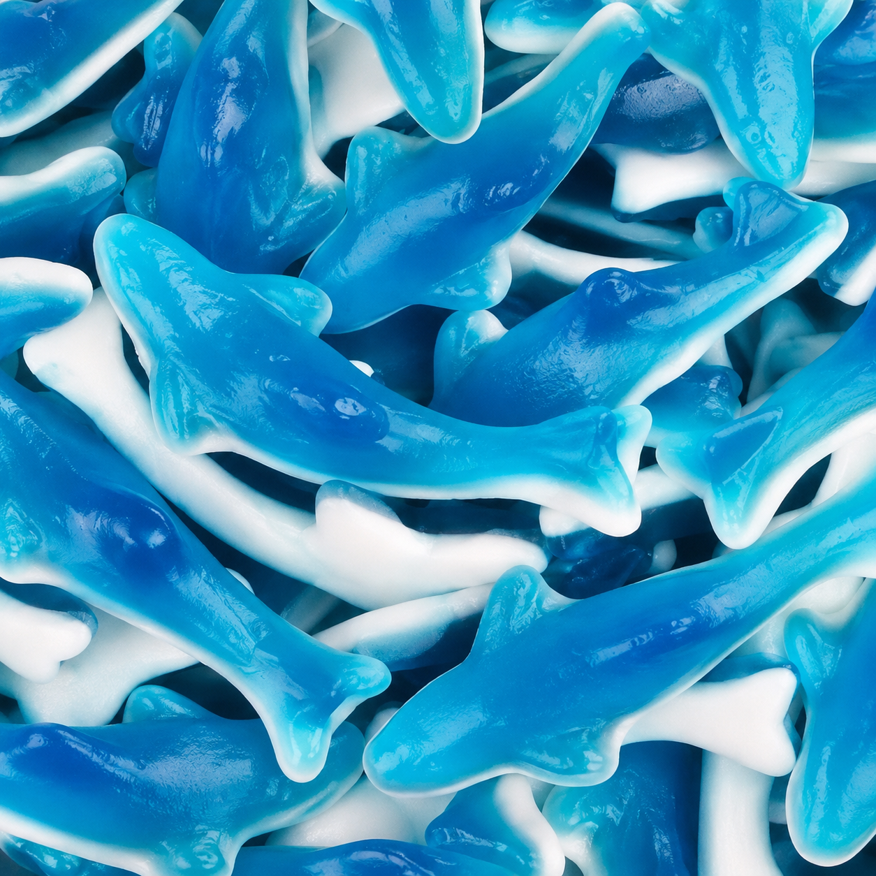 Requins TROLLI