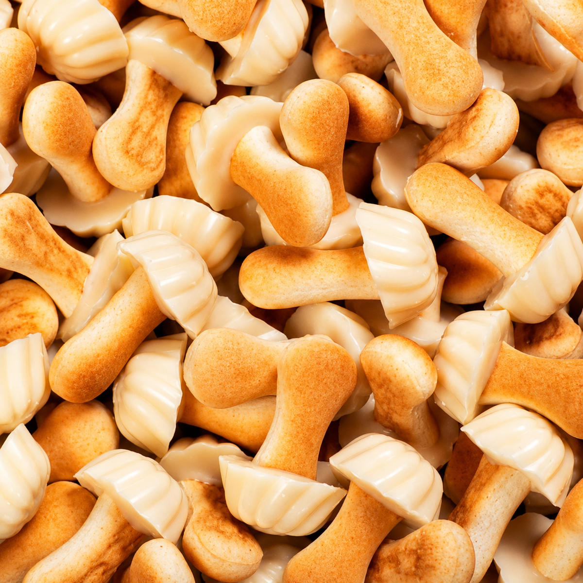 Champignon chocolat blanc LOZANO