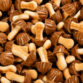 Champignons caramel LOZANO