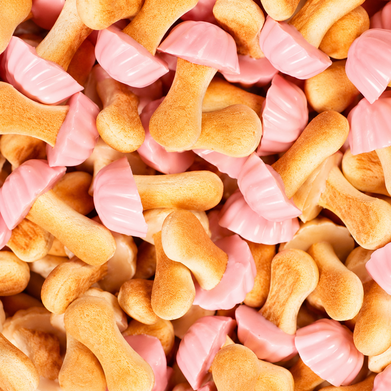 Champignons fraise LOZANO