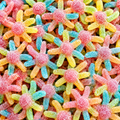 Mini pieuvres JAKE